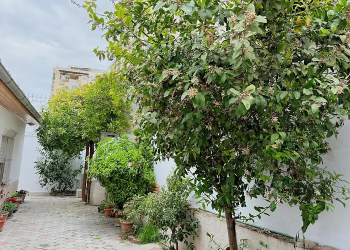 Orange Tree House * Tirana