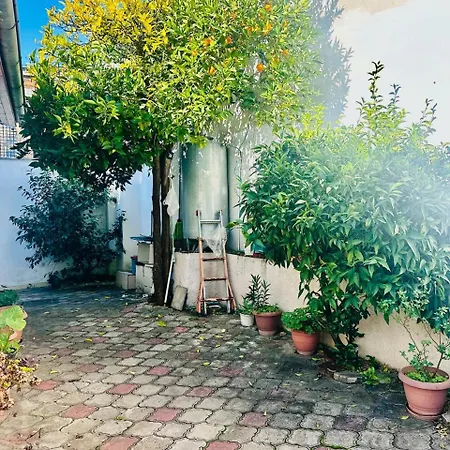 Orange Tree House Villa