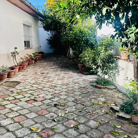 Orange Tree House Villa