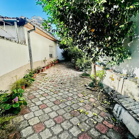 Orange Tree House *