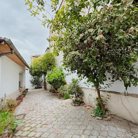 Orange Tree House Tiran