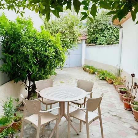 Orange Tree House