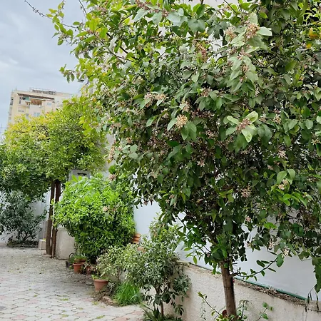 Orange Tree House * Tirana
