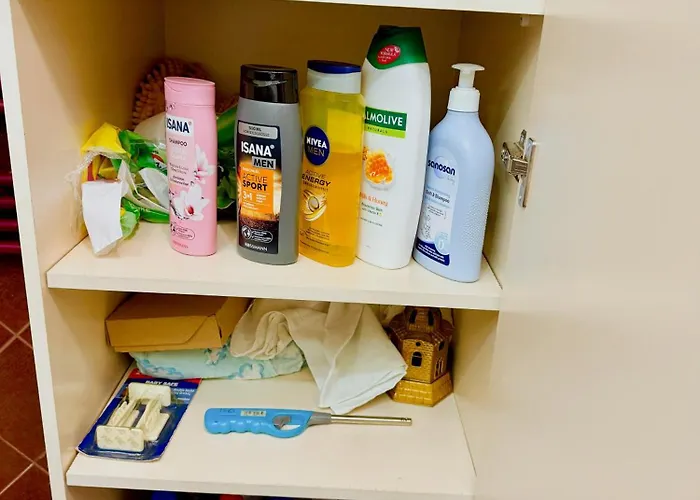 Orange Tree House * Tirana